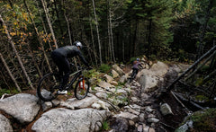 Norco 25 Sight VLT CX C1 150 - Grey / Gold | Electric Mountain Bike