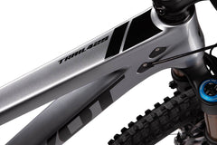 pivot-mountain-bike-trail-429-pro-xt-xtr-enduro-29-silver-metallic