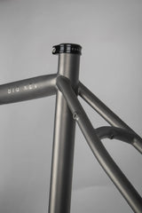 Curve Frameset Big Kev Titanium