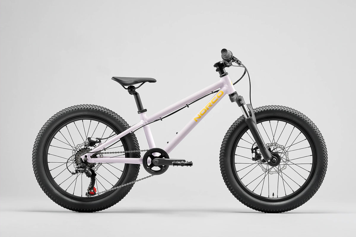 Norco Mountain Bike Storm Youth 20 Lavender
